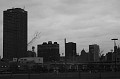 IMG_1401