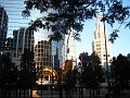 IMG_1513