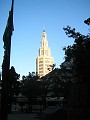 IMG_1525