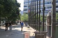 IMG_1637