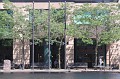 IMG_1647