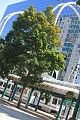 IMG_1649