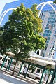 IMG_16490
