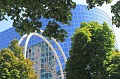 IMG_1651