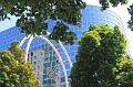 IMG_1652