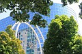 IMG_16520
