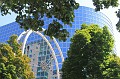 IMG_1653