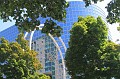 IMG_1654
