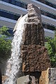 IMG_1655