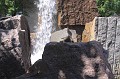 IMG_1656
