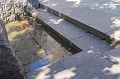 IMG_1657
