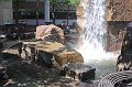 IMG_1659