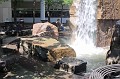 IMG_16590