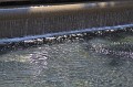 IMG_1669
