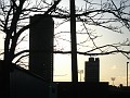 IMG_2459