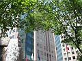 IMG_4132