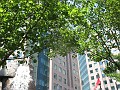 IMG_4133