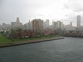 IMG_5228