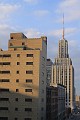 IMG_6203
