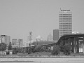 IMG_6372