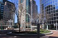 IMG_6754