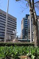 IMG_6775