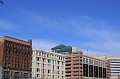 IMG_7049
