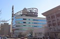 IMG_7055