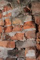 IMG_9012