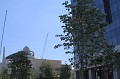 IMG_9139