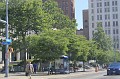 IMG_9237