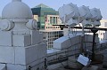 IMG_9314