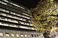 IMG_0882