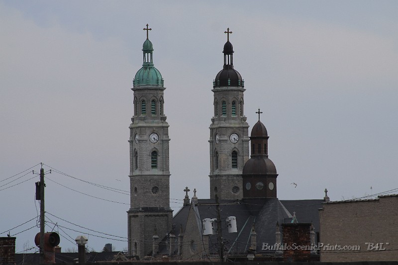 IMG_6392.jpg