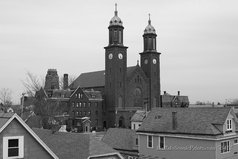 IMG_6431.jpg