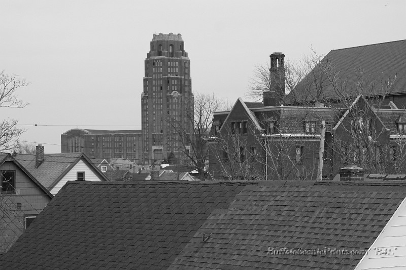 IMG_6432.jpg