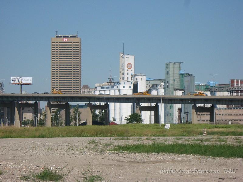 IMG_6350.jpg