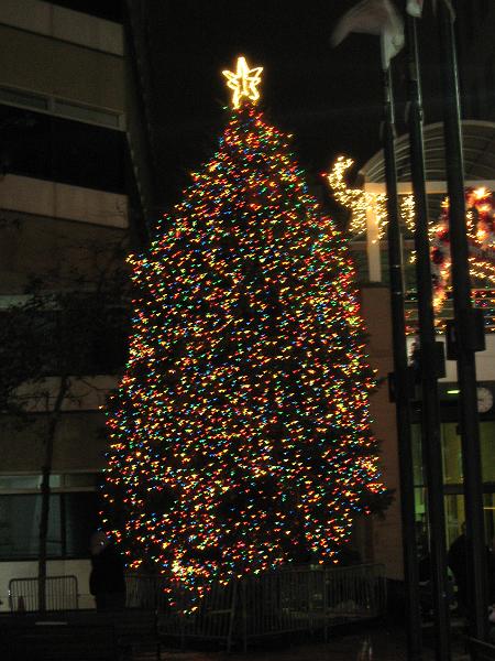 IMG_2927.jpg