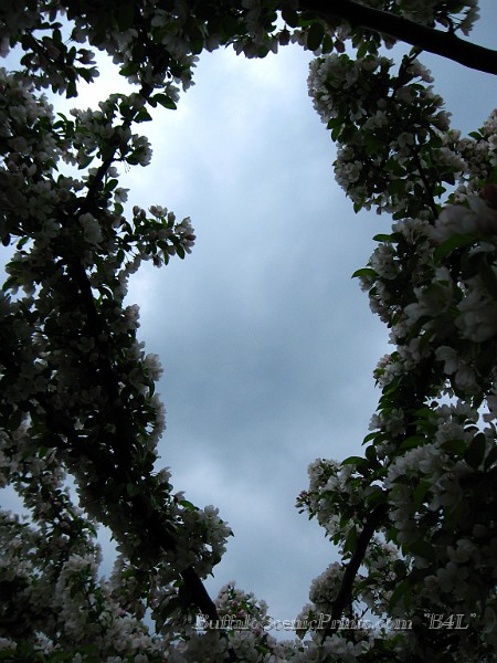 IMG_3869.jpg