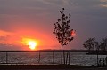 IMG_2693