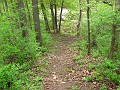 IMG_3784