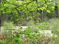 IMG_3786