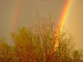 IMG_3857