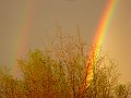 IMG_3862