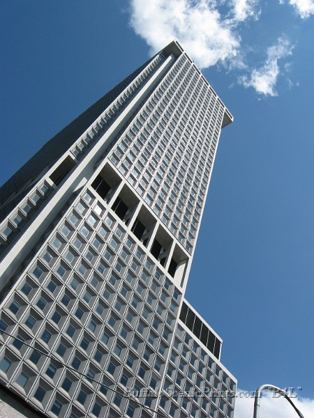 IMG_5377.jpg