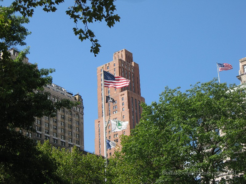 IMG_5392.jpg