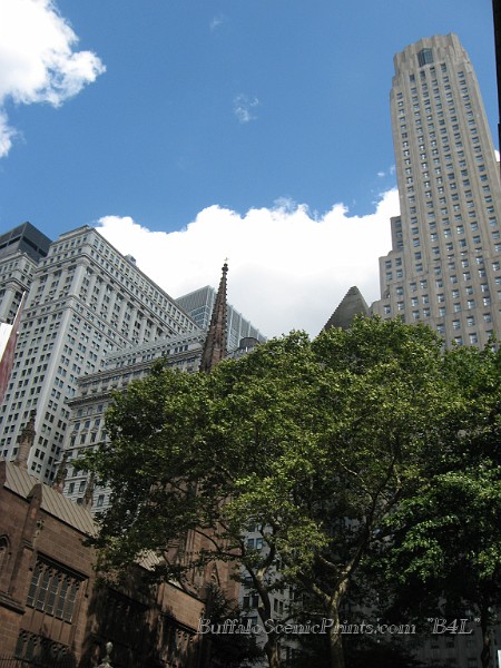 IMG_5413.jpg