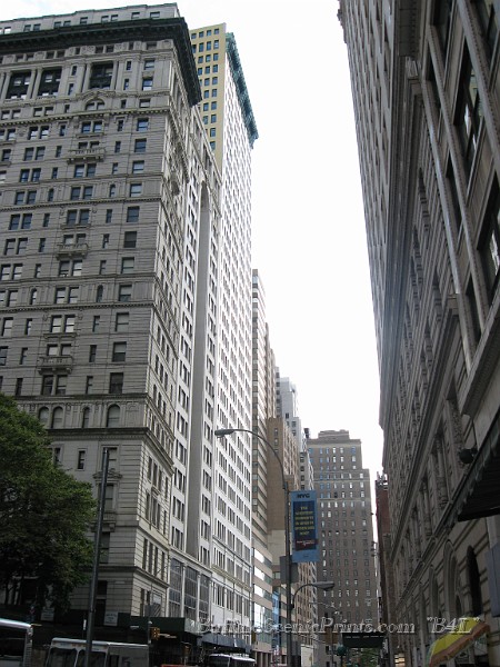IMG_5418.jpg