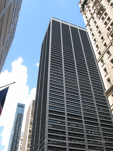 IMG_5426.jpg