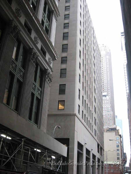 IMG_5461.jpg